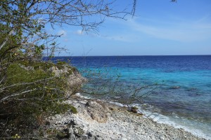 Bonaire Beach Scape